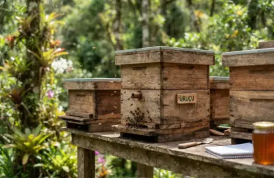 Qual a Melhor Madeira para Caixa de Abelha sem Ferrão?