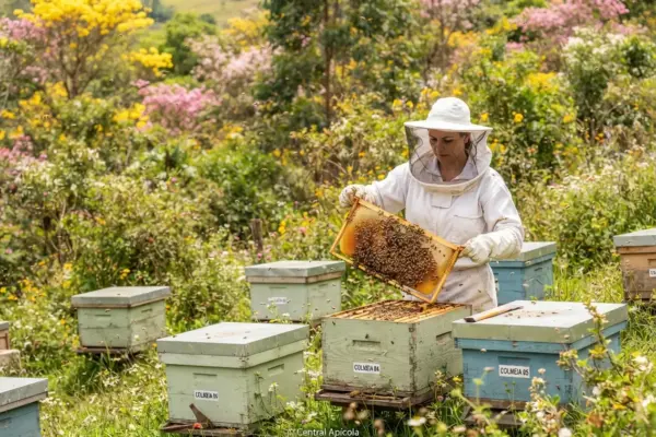 Calendário de Floradas Apícolas para aumentar sua produção de mel