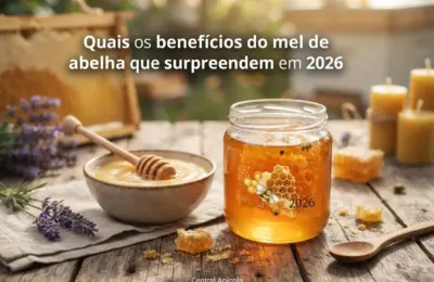 Quais os benefícios do mel de abelha que surpreendem em 2026