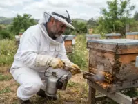Como Usar Ácido Oxálico para Varroa no Apiário?
